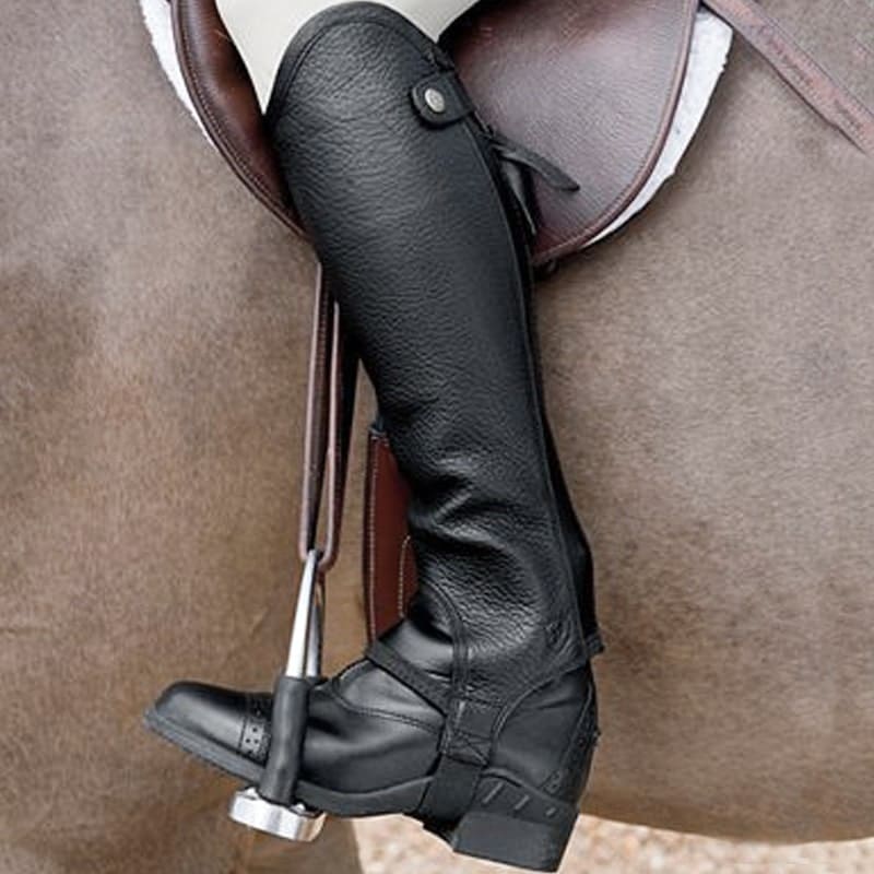 Gaiters Ariat Concord Black - My Riding Boots