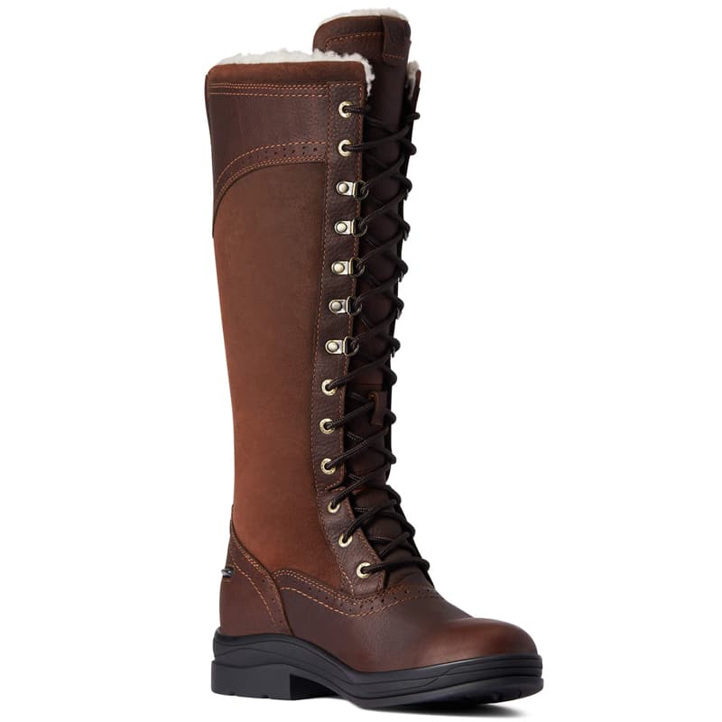 Outdoor boots Ariat Wythburn Tall Waterproof WMS Dark Brown